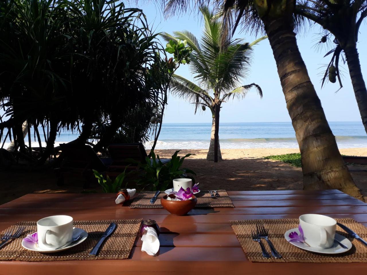 Arcade Beach Hotel Bentota Exterior foto